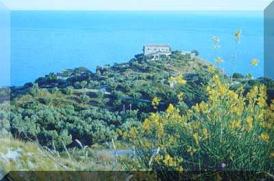 Museo naturalistico "Libero Gatti"