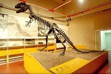 Museo Universitario di Paleontologia