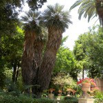 Orto botanico dell'Università di Catania