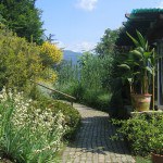 Orto botanico di Bergamo "Lorenzo Rota"