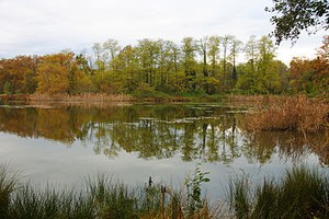 Parco naturale dei Lagoni di Mercurago e palafitte