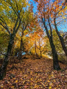 Parco naturale del Monte Fenera