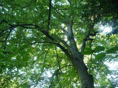 Parco naturale Rocchetta del Tanaro