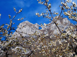 Parco Regionale Alpi Apuane