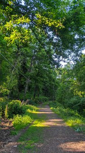 Parco regionale di Veio