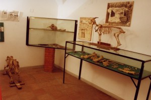 Raccolta Archeologica di Borgo a Mozzano