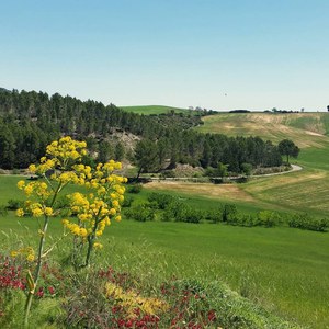 Riserva Naturale San Giuliano di Miglionico