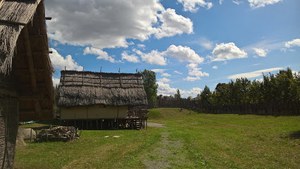 Terramara di Montale Parco archeologico e museo all'aperto