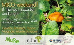 MICO-weekend! Il mondo nascosto dei funghi