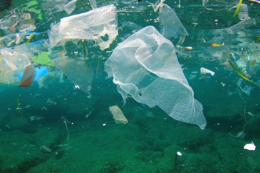 Plastiche E Rifiuti In Mare: L’ISPRA Di Chioggia Presenta I Risultati ...