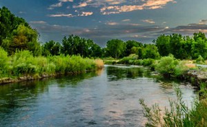 Citizen Science e Network Nazionale della Biodiversità: progetto RIVE - attività in campo e di laboratorio