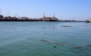 Computing riverine inputs of macrolitter into the Central Tyrrhenian Sea (Western Mediterranean Sea) from the Tiber River during the 1st post-pandemic year