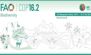 Conclusa la COP16.2