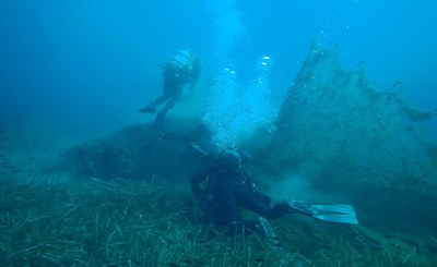 Guardiani del Mare