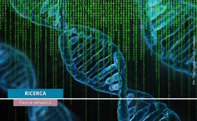 La biodiversità e lo studio del DNA ambientale: ISPRA nell’International Bar Code of Life