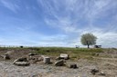 La città etrusco-romana di Vulci, il fiume Fiora e la spiaggia di Montalto Marina