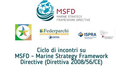 Secondo webinar "L'attuazione della Direttiva Strategia Marina"