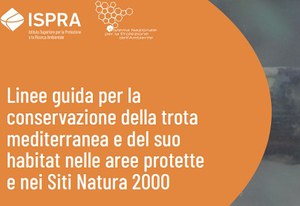 Online le Linee guida per la conservazione della trota mediterranea e del suo habitat nelle aree protette e nei Siti Natura 2000