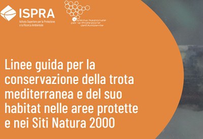 Online le Linee guida per la conservazione della trota mediterranea e del suo habitat nelle aree protette e nei Siti Natura 2000