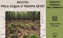 Siccità: poca acqua o troppa sete?