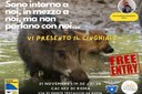 Sono intorno a noi, in mezzo a noi, ma non parlano con noi... il Cinghiale