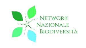 logo nnb