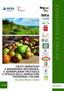 Frutti dimenticati e biodiversità recuperata. Il germoplasma frutticolo e viticolo delle agricolture tradizionali italiane. Casi studio: Marche e Toscana