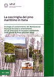 La cocciniglia del pino marittimo in Italia